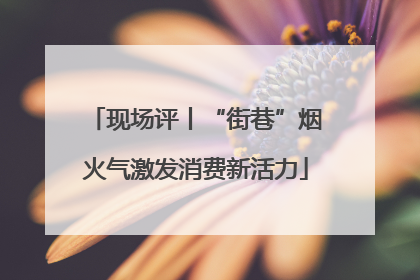 现场评丨“街巷”烟火气激发消费新活力