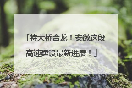 特大桥合龙！安徽这段高速建设最新进展！