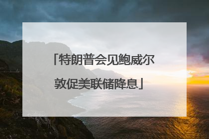 特朗普会见鲍威尔 敦促美联储降息