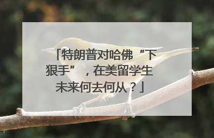 特朗普对哈佛“下狠手”，在美留学生未来何去何从？
