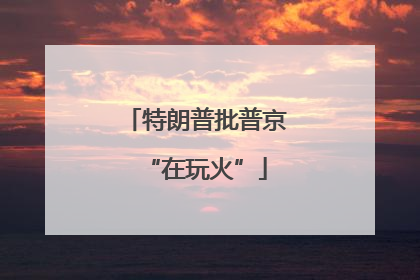 特朗普批普京“在玩火”