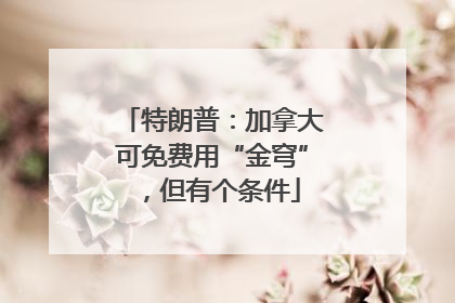 特朗普：加拿大可免费用“金穹”，但有个条件