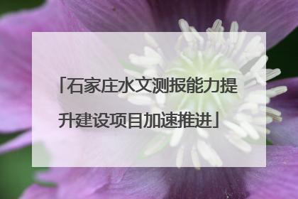 石家庄水文测报能力提升建设项目加速推进