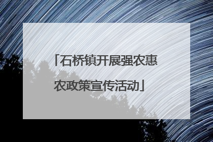石桥镇开展强农惠农政策宣传活动