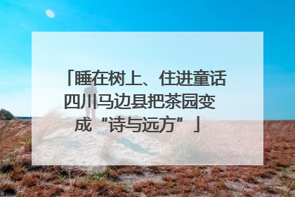 睡在树上、住进童话 四川马边县把茶园变成“诗与远方”