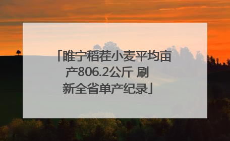 睢宁稻茬小麦平均亩产806.2公斤 刷新全省单产纪录