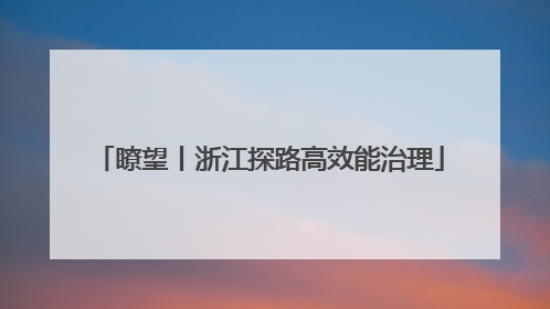 瞭望丨浙江探路高效能治理