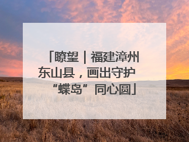 瞭望｜福建漳州东山县，画出守护“蝶岛”同心圆