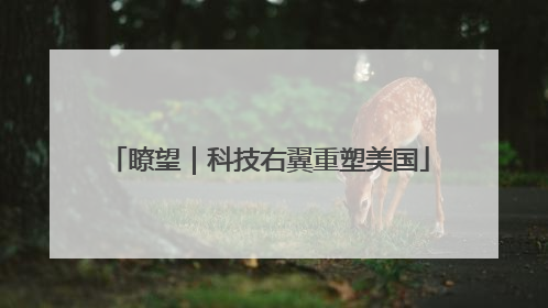 瞭望｜科技右翼重塑美国