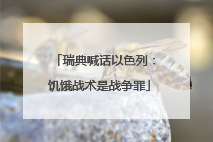 瑞典喊话以色列：饥饿战术是战争罪