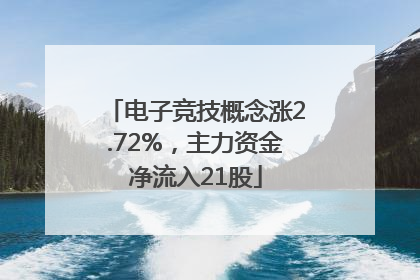 电子竞技概念涨2.72%，主力资金净流入21股