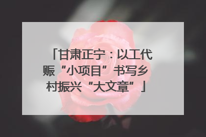 甘肃正宁：以工代赈“小项目”书写乡村振兴“大文章”
