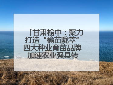 甘肃榆中：聚力打造“榆苗陇萃”四大种业育苗品牌 加速农业强县转型步伐