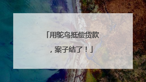 用鸵鸟抵偿货款，案子结了！