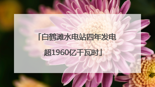 白鹤滩水电站四年发电超1960亿千瓦时