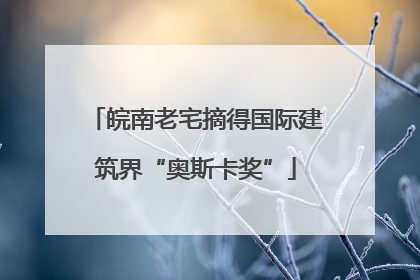 皖南老宅摘得国际建筑界“奥斯卡奖”