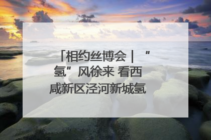 相约丝博会｜“氢”风徐来 看西咸新区泾河新城氢能产业聚链成势
