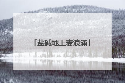 盐碱地上麦浪涌