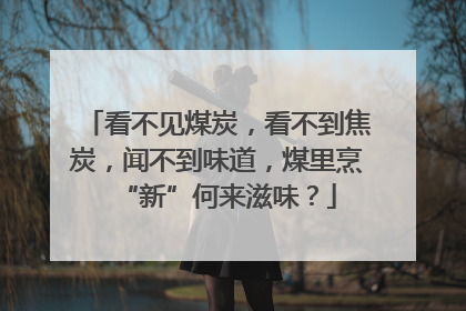 看不见煤炭，看不到焦炭，闻不到味道，煤里烹“新”何来滋味？