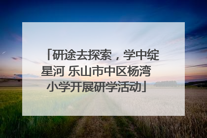 研途去探索，学中绽星河 乐山市中区杨湾小学开展研学活动