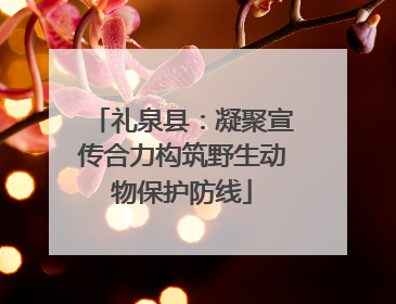 礼泉县：凝聚宣传合力构筑野生动物保护防线