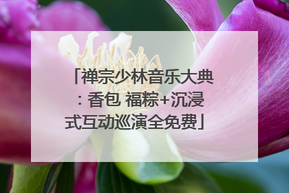 禅宗少林音乐大典：香包 福粽+沉浸式互动巡演全免费
