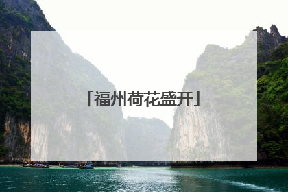 福州荷花盛开