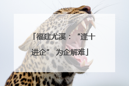 福建尤溪：“逢十进企” 为企解难