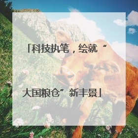 科技执笔，绘就“大国粮仓”新丰景