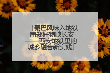 秦巴风味入地铁 南郑好物映长安——西安地铁里的城乡融合新实践