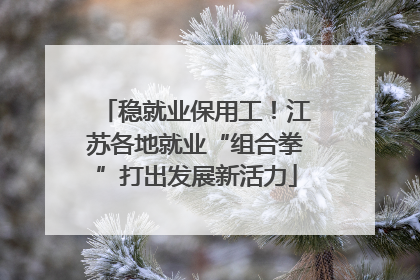 稳就业保用工！江苏各地就业“组合拳”打出发展新活力