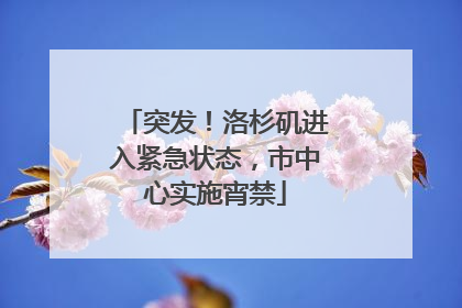 突发！洛杉矶进入紧急状态，市中心实施宵禁