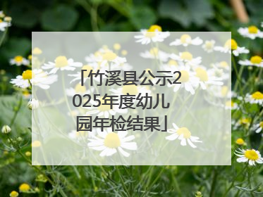 竹溪县公示2025年度幼儿园年检结果