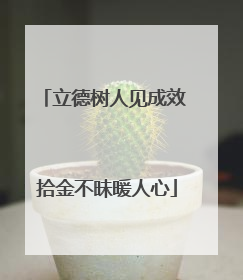 立德树人见成效 拾金不昧暖人心