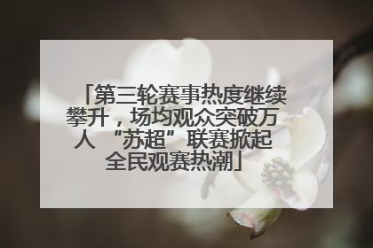 第三轮赛事热度继续攀升，场均观众突破万人 “苏超”联赛掀起全民观赛热潮