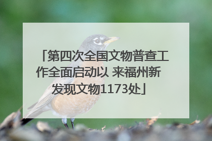 第四次全国文物普查工作全面启动以 来福州新发现文物1173处