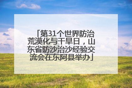 第31个世界防治荒漠化与干旱日，山东省防沙治沙经验交流会在东阿县举办