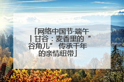网络中国节·端午丨甘谷：麦香里的“谷角儿” 传承千年的亲情纽带