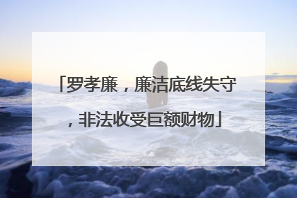 罗孝廉，廉洁底线失守，非法收受巨额财物