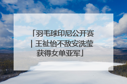 羽毛球印尼公开赛｜王祉怡不敌安洗莹 获得女单亚军