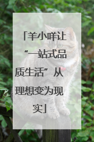 羊小咩让“一站式品质生活”从理想变为现实