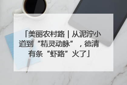 美丽农村路｜从泥泞小道到“精灵动脉”，德清有条“虾路”火了