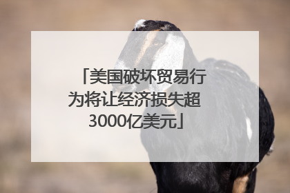 美国破坏贸易行为将让经济损失超3000亿美元
