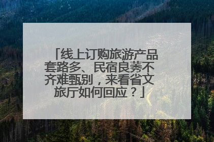 线上订购旅游产品套路多、民宿良莠不齐难甄别，来看省文旅厅如何回应？