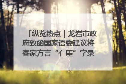纵览热点｜龙岩市政府致函国家语委建议将客家方言“亻厓”字录入《新华字典》引发热议，当地回应