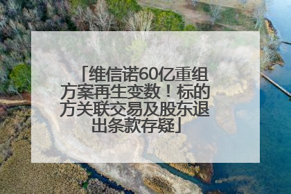 维信诺60亿重组方案再生变数！标的方关联交易及股东退出条款存疑