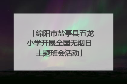 绵阳市盐亭县五龙小学开展全国无烟日主题班会活动