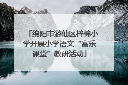 绵阳市游仙区梓棉小学开展小学语文“富乐课堂”教研活动