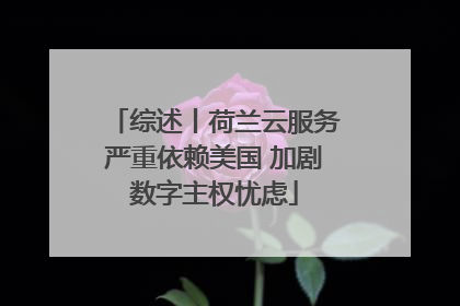 综述丨荷兰云服务严重依赖美国 加剧数字主权忧虑