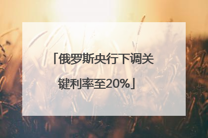 俄罗斯央行下调关键利率至20%